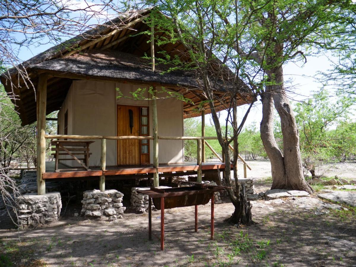 Thakadu Bush Camp Villa Ghanzi Ngoại thất bức ảnh